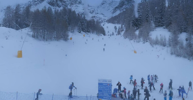 Webcam Пейо 3000 - Scoiattolo Ski School