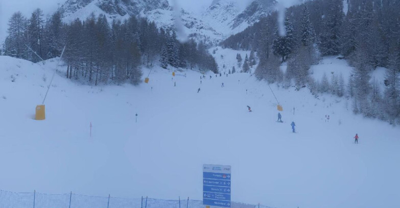 Webcam Пейо 3000 - Scoiattolo Ski School