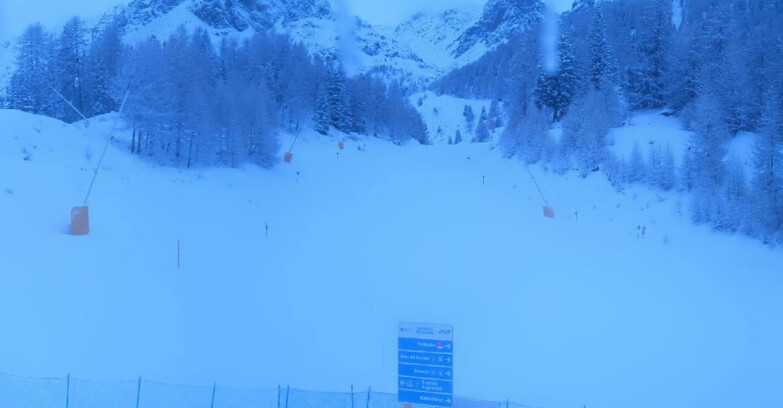 Webcam Пейо 3000 - Scoiattolo Ski School