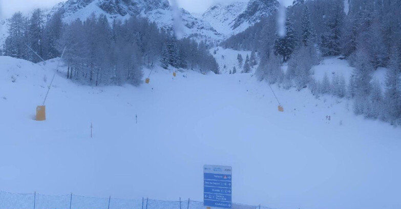 Webcam Пейо 3000 - Scoiattolo Ski School