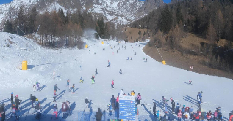 Webcam Пейо 3000 - Scoiattolo Ski School