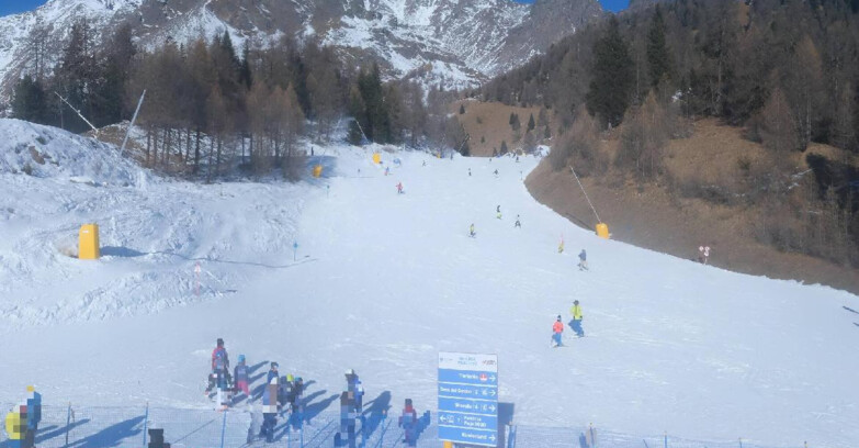 Webcam Пейо 3000 - Scoiattolo Ski School