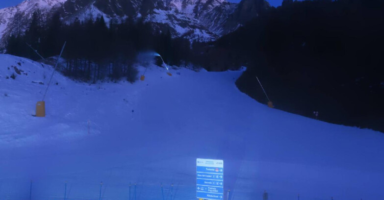 Webcam Пейо 3000 - Scoiattolo Ski School