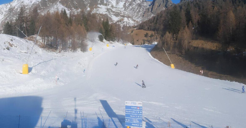 Webcam Пейо 3000 - Scoiattolo Ski School