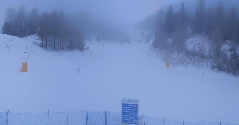 Webcam Пейо 3000 - Scoiattolo Ski School