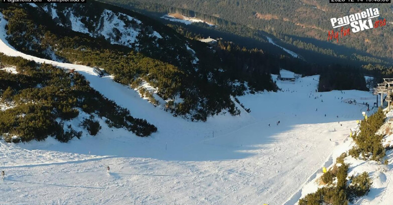 Webcam Paganella Ski – Andalo – Fai della Paganella - Pista Olimpionica 3
