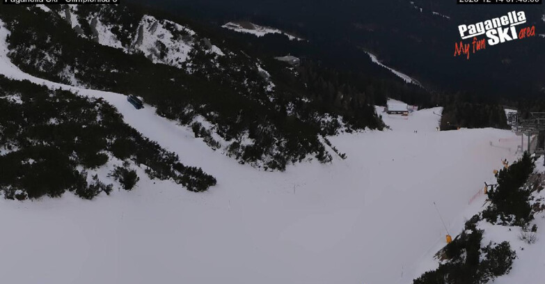 Webcam Paganella Ski – Andalo – Fai della Paganella - Pista Olimpionica 3