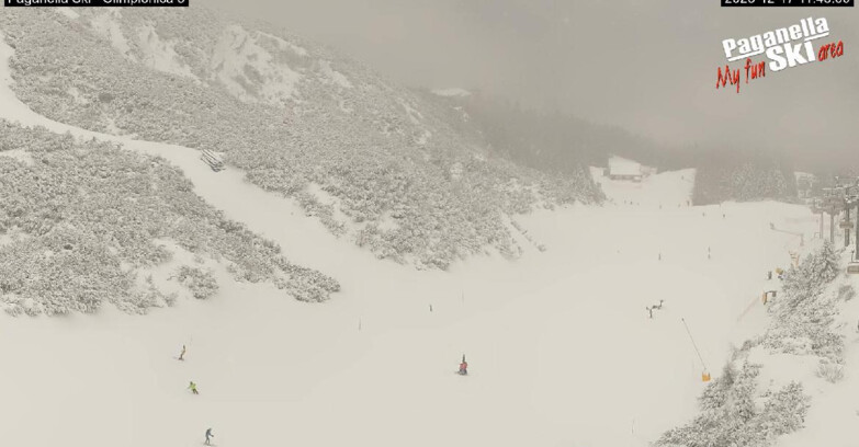 Webcam Paganella Ski – Andalo – Fai della Paganella - Pista Olimpionica 3