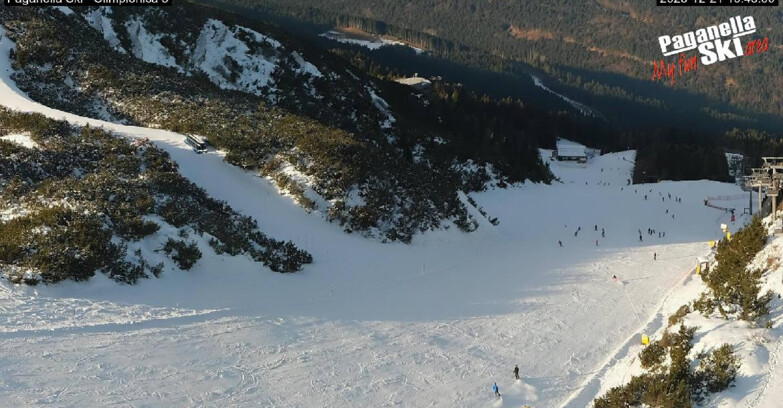 Webcam Paganella Ski – Andalo – Fai della Paganella - Pista Olimpionica 3
