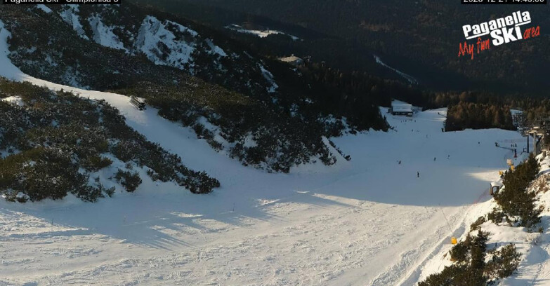 Webcam Paganella Ski – Andalo – Fai della Paganella - Pista Olimpionica 3