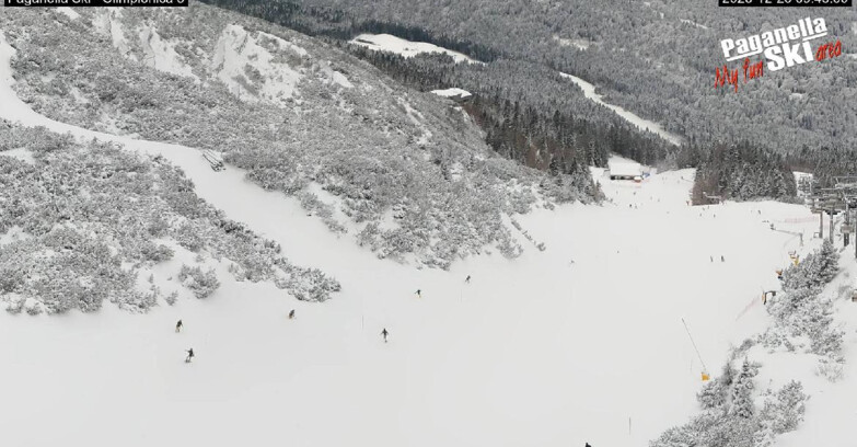 Webcam Paganella Ski – Andalo – Fai della Paganella - Pista Olimpionica 3
