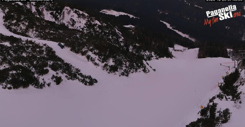 Webcam Paganella Ski – Andalo – Fai della Paganella - Pista Olimpionica 3