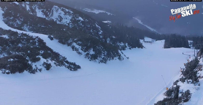 Webcam Paganella Ski – Andalo – Fai della Paganella - Pista Olimpionica 3