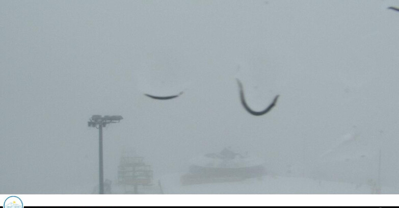 Webcam Маранде - Passo Brocon Chalet Paradiso