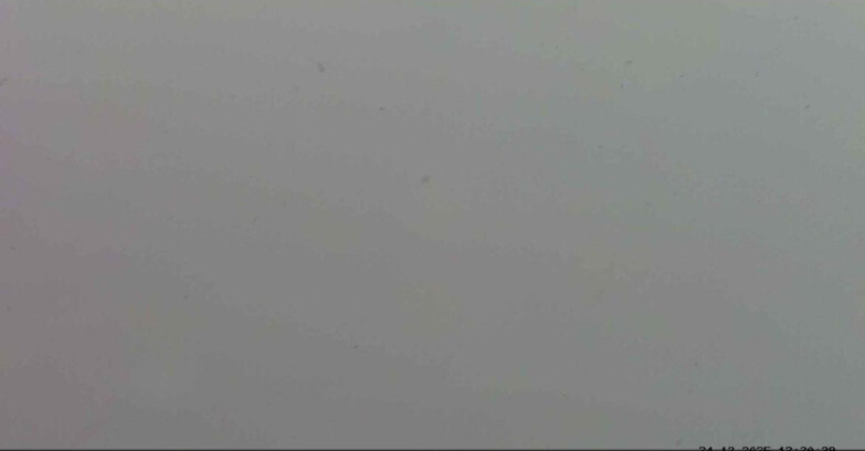 Webcam Passo San Pellegrino-Falcade - Pelmo