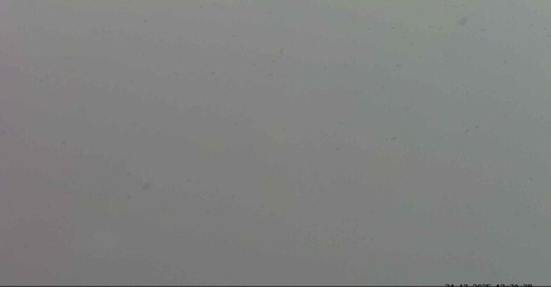 Webcam Passo San Pellegrino-Falcade - Pelmo