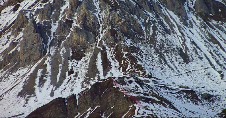 Webcam Passo San Pellegrino-Falcade - Seggiovia Cima Uomo