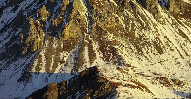 Webcam Passo San Pellegrino-Falcade - Seggiovia Cima Uomo