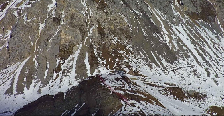 Webcam Passo San Pellegrino-Falcade  - Seggiovia Cima Uomo