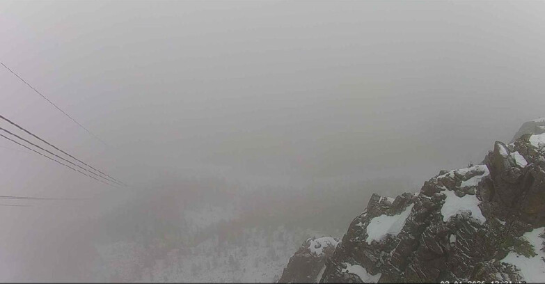 Webcam Passo San Pellegrino-Falcade  - Pista Funivia