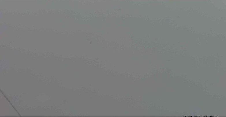 Webcam Passo San Pellegrino-Falcade  - Costabella - Cima Uomo