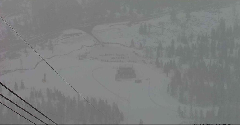 Webcam Passo San Pellegrino-Falcade  - Arrivo Seggiovia