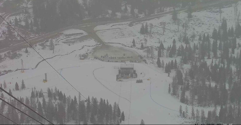 Webcam Passo San Pellegrino-Falcade  - Arrivo Seggiovia