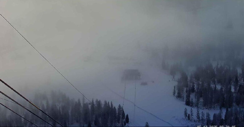 Webcam Passo San Pellegrino-Falcade  - Arrivo Seggiovia
