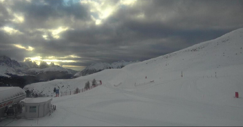 Webcam Белламонте-Альпе-Лусиа  - Bellamonte Alpe Lusia - Le Cune