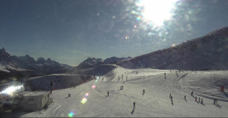 Webcam Белламонте-Альпе-Лусиа  - Bellamonte Alpe Lusia - Le Cune