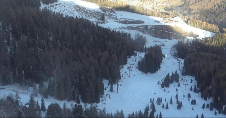 Webcam Moena-Alpe Lusia  - Pista Piavac