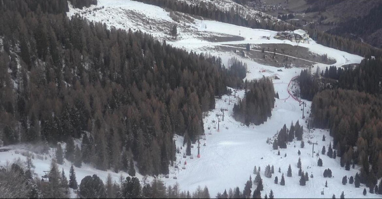 Webcam Moena-Alpe Lusia  - Pista Piavac
