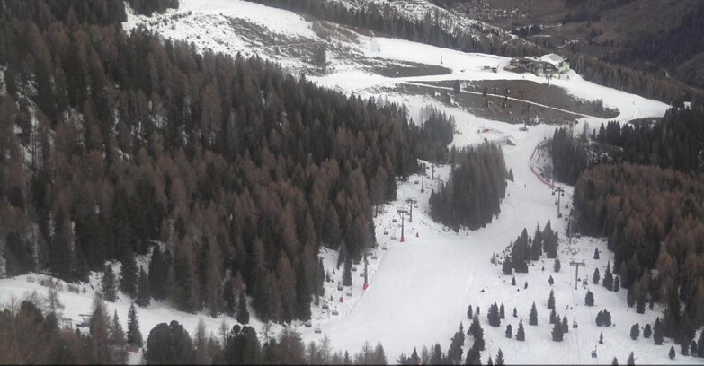 Webcam Moena-Alpe Lusia  - Pista Piavac