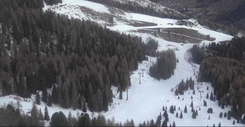 Webcam Moena-Alpe Lusia  - Pista Piavac
