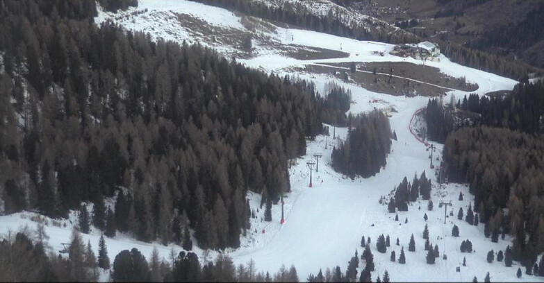 Webcam Moena-Alpe Lusia  - Pista Piavac