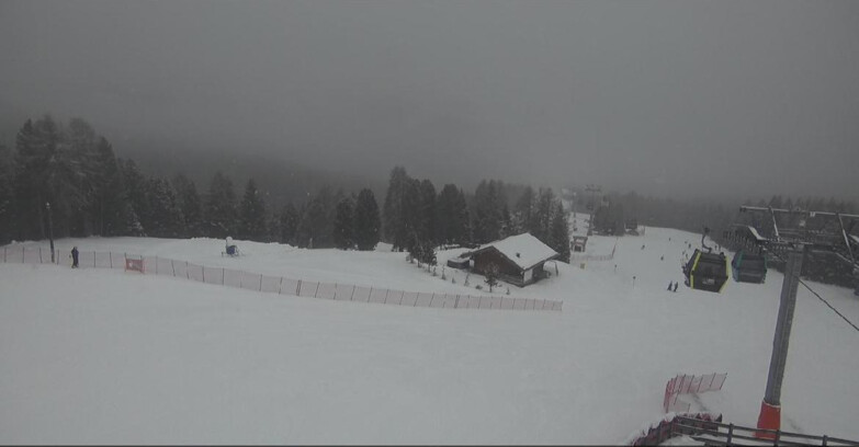 Webcam Bellamonte-Alpe Lusia - Pista Le Fassane e Morea Snowpark