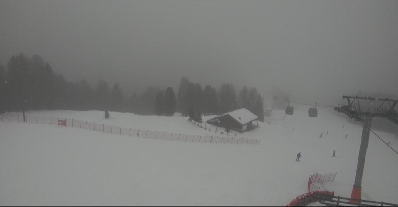 Webcam Bellamonte-Alpe Lusia - Pista Le Fassane e Morea Snowpark