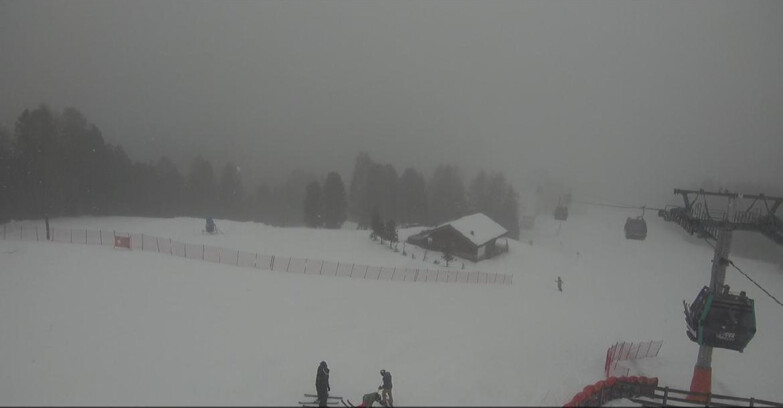 Webcam Bellamonte-Alpe Lusia - Pista Le Fassane e Morea Snowpark