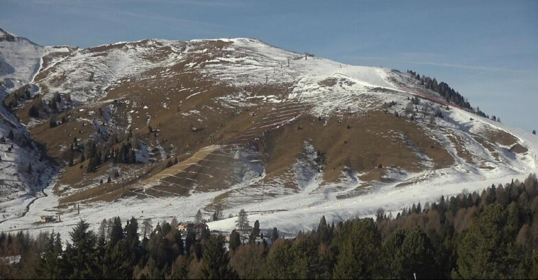 Webcam Bellamonte-Alpe Lusia - Pista direttissima Le Cune
