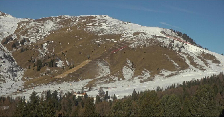 Webcam Bellamonte-Alpe Lusia - Pista direttissima Le Cune