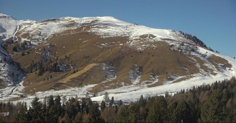Webcam Bellamonte-Alpe Lusia  - Pista direttissima Le Cune