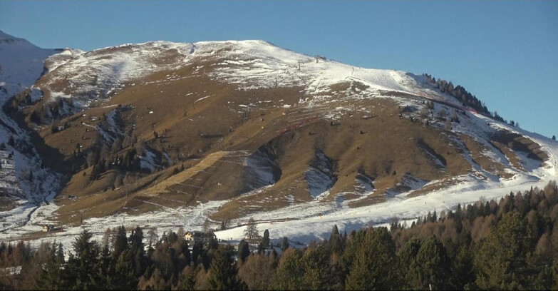 Webcam Bellamonte-Alpe Lusia  - Pista direttissima Le Cune
