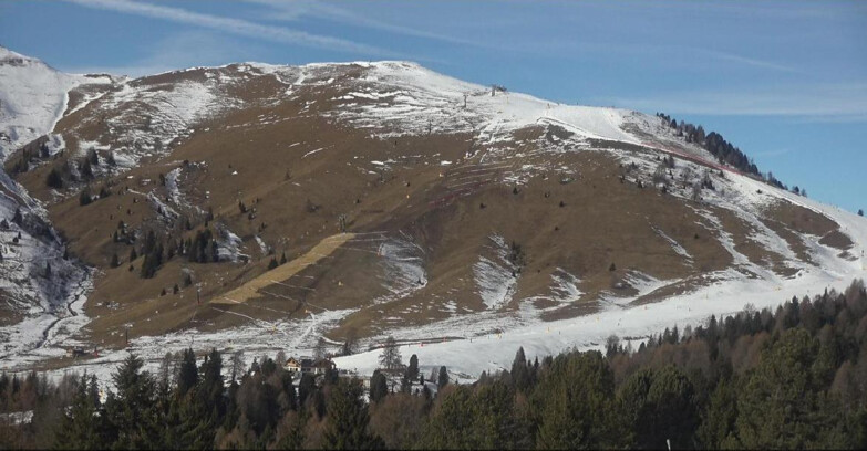 Webcam Bellamonte-Alpe Lusia  - Pista direttissima Le Cune