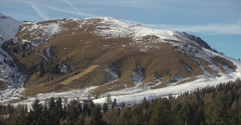 Webcam Bellamonte-Alpe Lusia  - Pista direttissima Le Cune