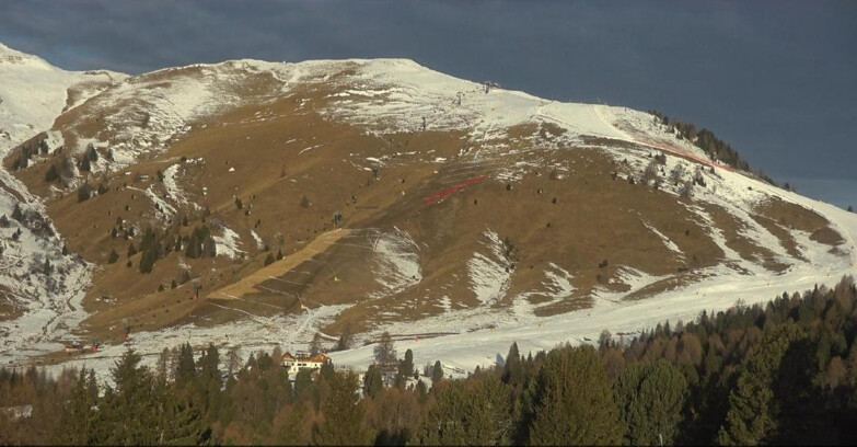 Webcam Bellamonte-Alpe Lusia  - Pista direttissima Le Cune
