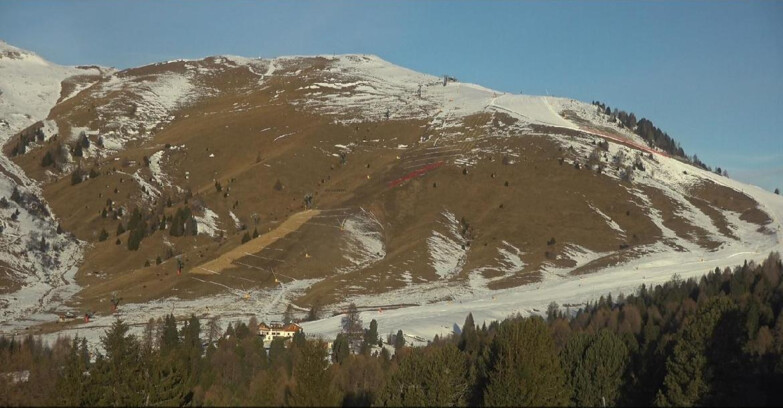 Webcam Bellamonte-Alpe Lusia - Pista direttissima Le Cune