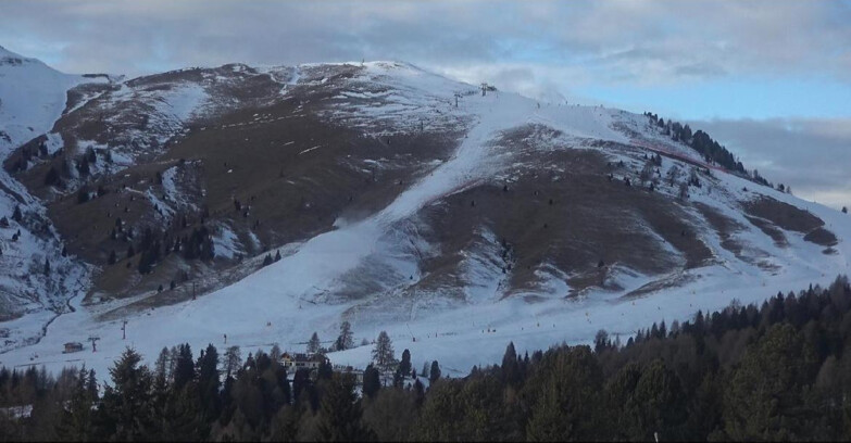 Webcam Bellamonte-Alpe Lusia  - Pista direttissima Le Cune