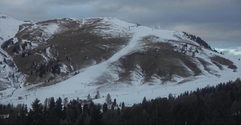 Webcam Bellamonte-Alpe Lusia  - Pista direttissima Le Cune