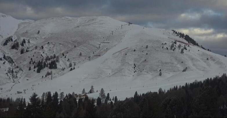 Webcam Bellamonte-Alpe Lusia - Pista direttissima Le Cune