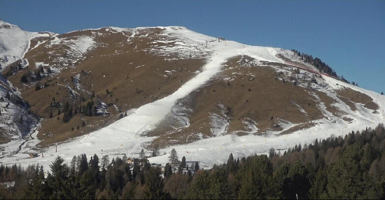 Webcam Bellamonte-Alpe Lusia  - Pista direttissima Le Cune